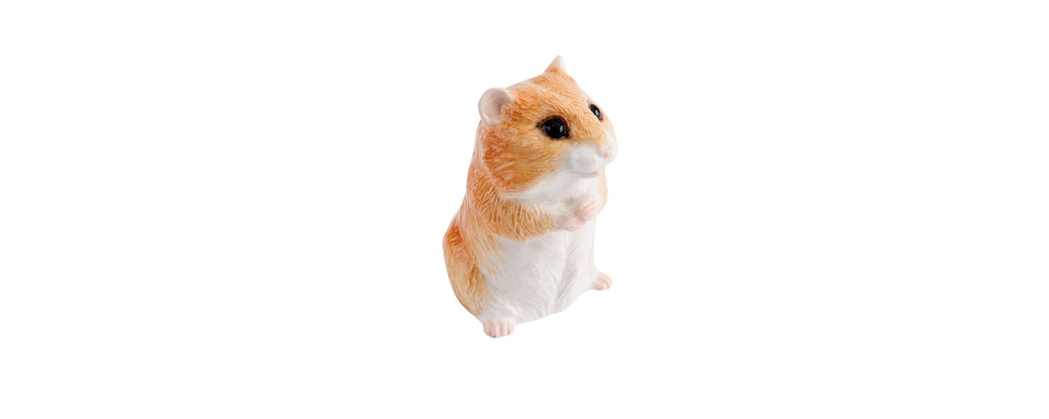 Hamster Mobile: Profile