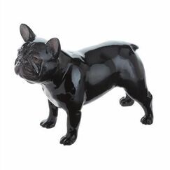 French Bulldog Black