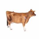 Jersey Cow additional 1