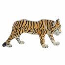 Natural World - Bengal Tiger additional 2