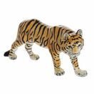 Natural World - Bengal Tiger additional 1