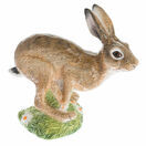 Leaping Hare additional 2
