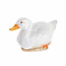 Duck additional 1