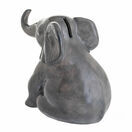 Elephant additional 2