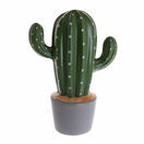 Cactus additional 2