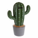 Cactus additional 1
