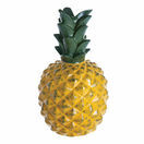 Pineapple additional 1