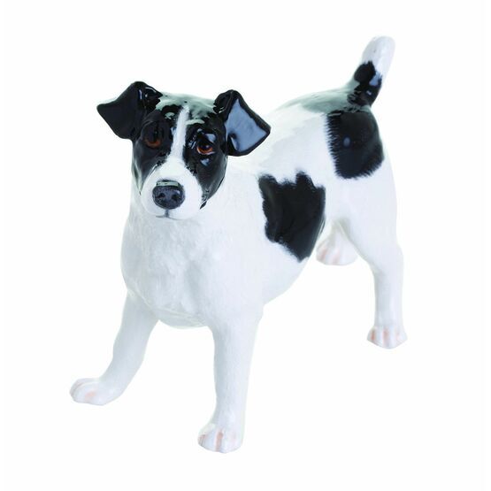 Jack Russell (Black & White)